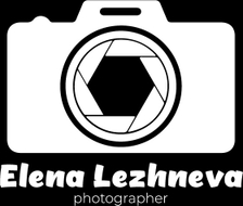 fotolezhneva.wfolio.pro