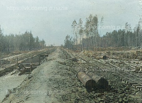 Фотографии 1931 года. История Назиевского городского поселения