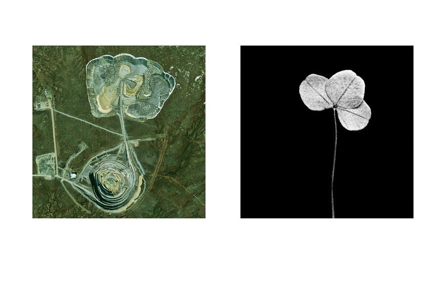 Интервью с Евгением Молодцовым: ''Нужен шаг назад — к «новой искреннос