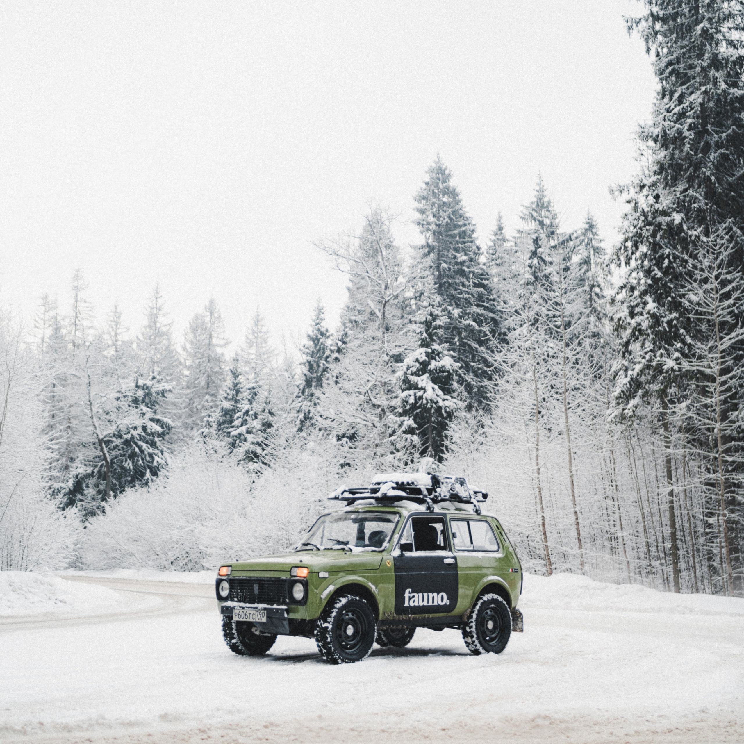 Fauno. Фотограф Илья К. в Москве