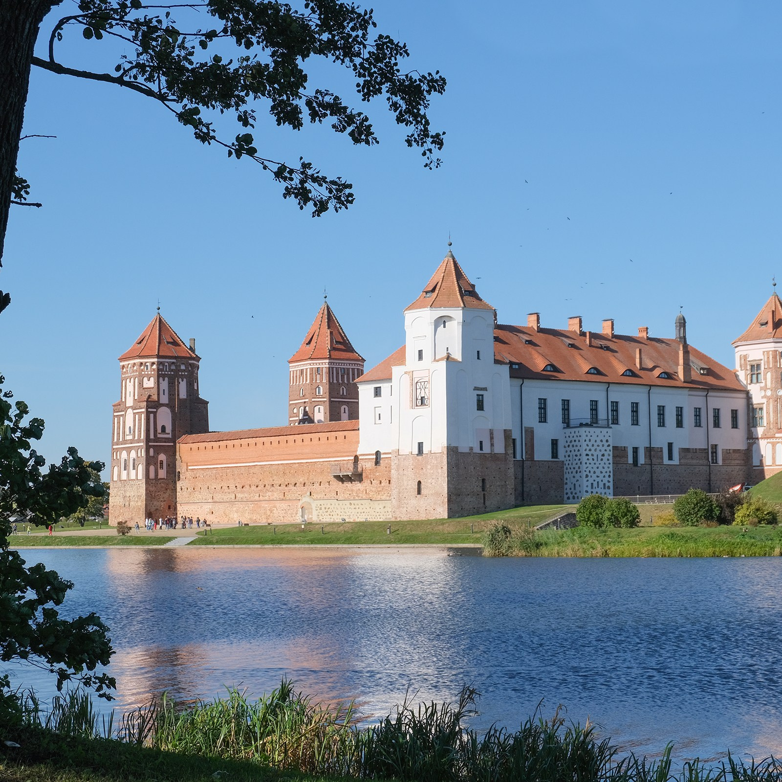 Фотографии города, архитектуры, цветов, макро, кошек. Москва