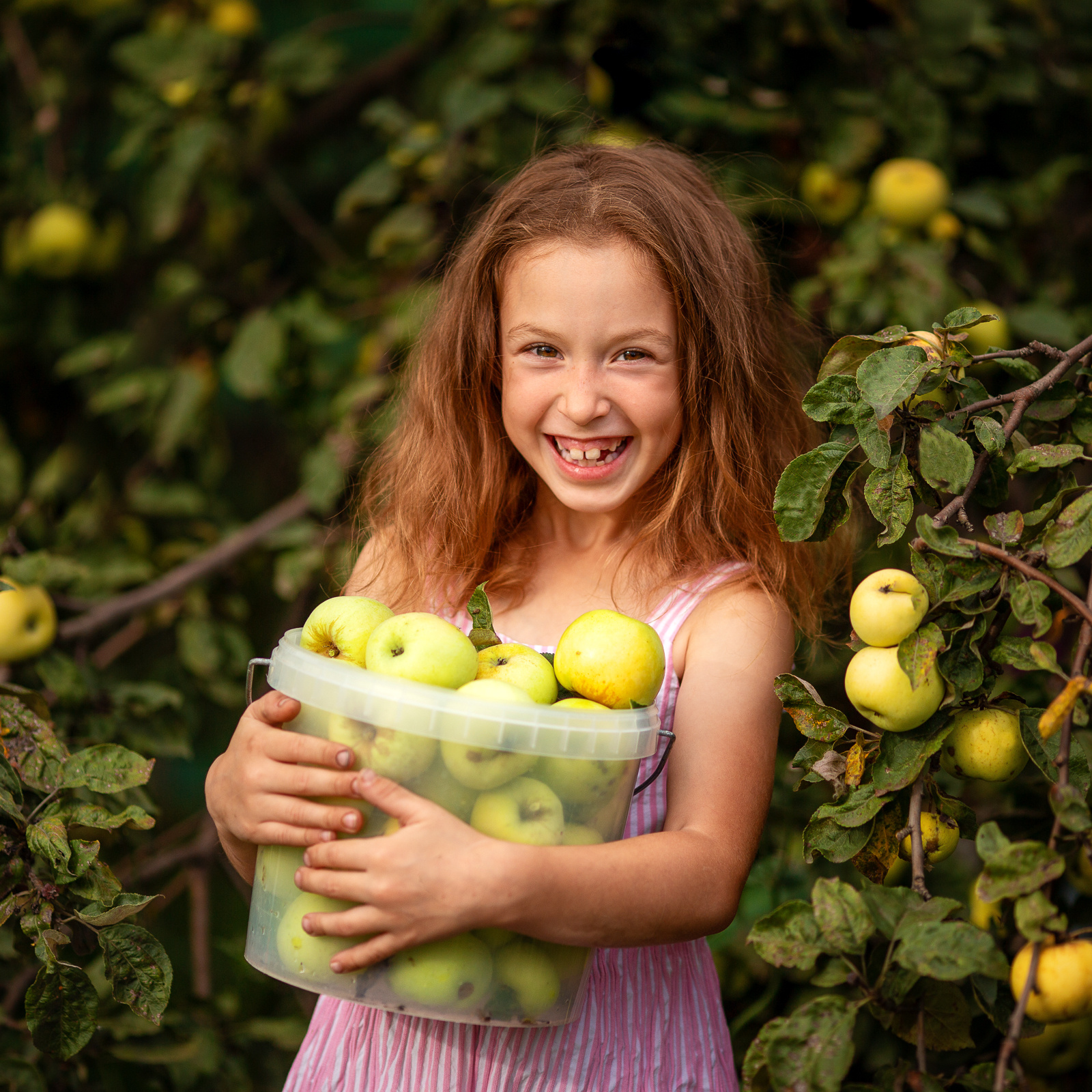 Прайс. Детский и семейный фотограф Алиса Хмелева г. Апатиты
