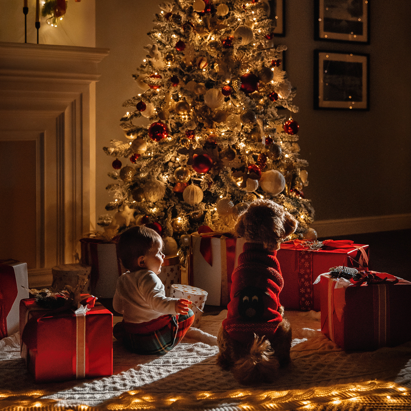 Новогодняя фотосессия в студии СПб. Семейный фотограф в Санкт-Петербурге Анна Аверина