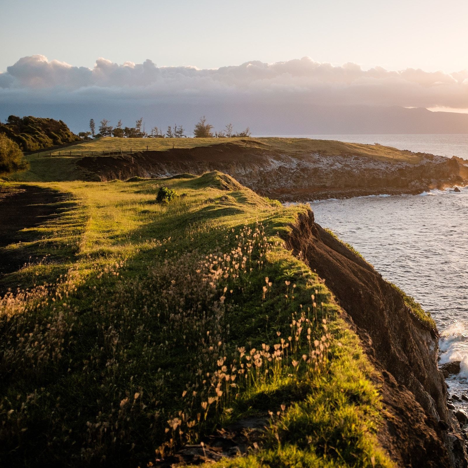 SCHOOL ALBUM. Фотограф и видеограф в Санкт-Петербурге Прилепин Слава