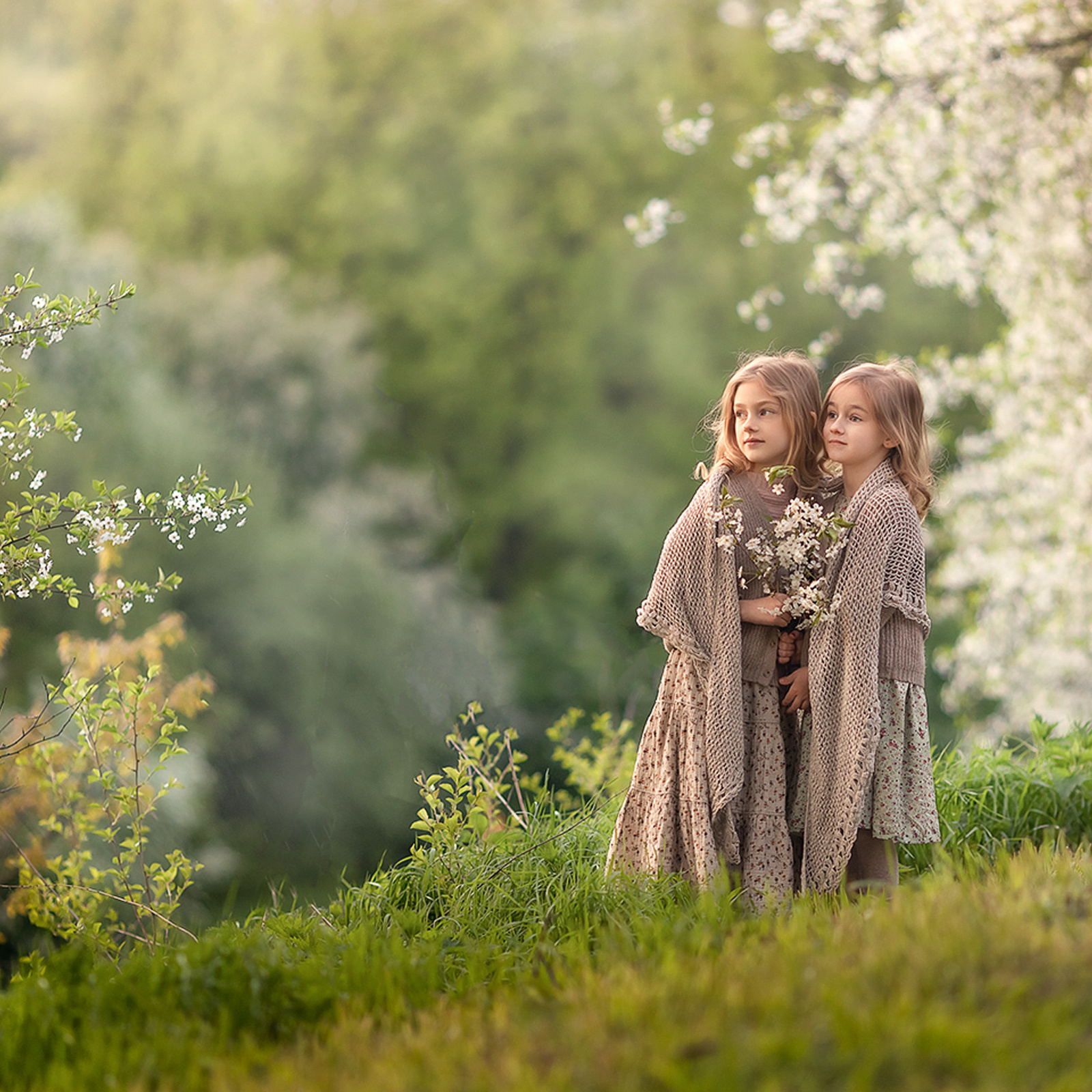 Тарифы на услуги. Куценкова Александра — детский, семейный фотограф в Москве