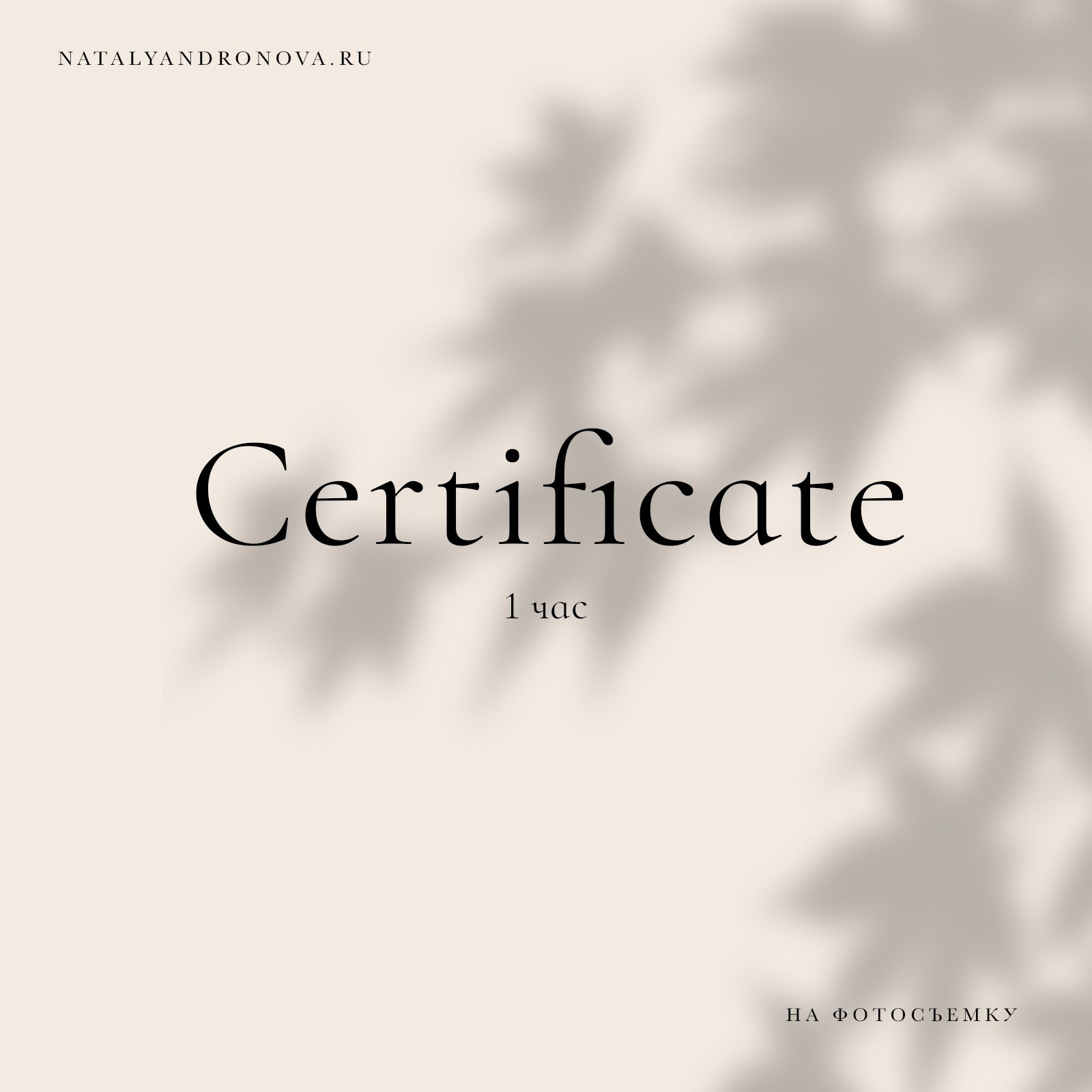Сертификат на фотосессию на новый год 2023 - 2024