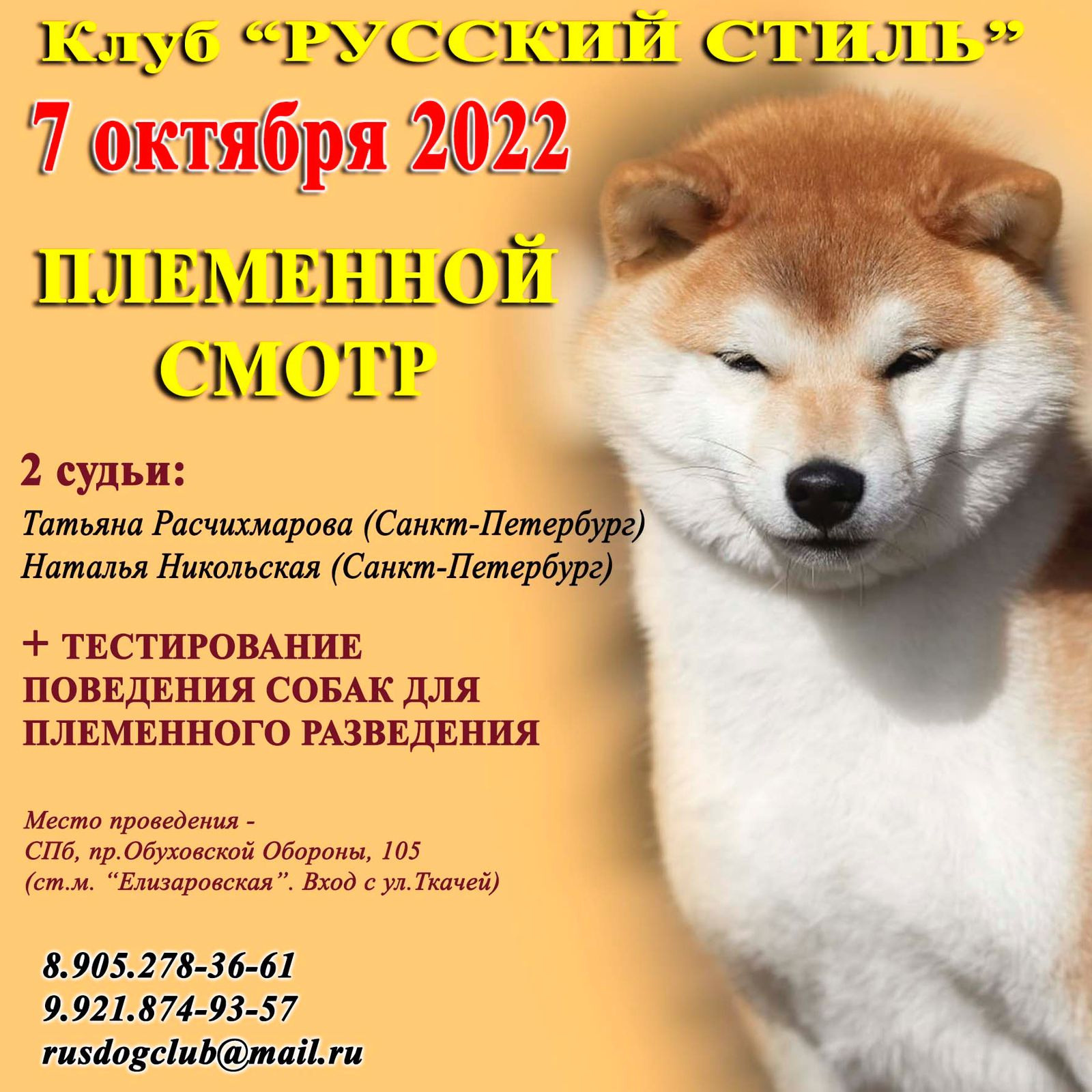 Племенной смотр 07.10.2022. Кинологический клуб РКФ РФСС СЕНСАЦИЯ