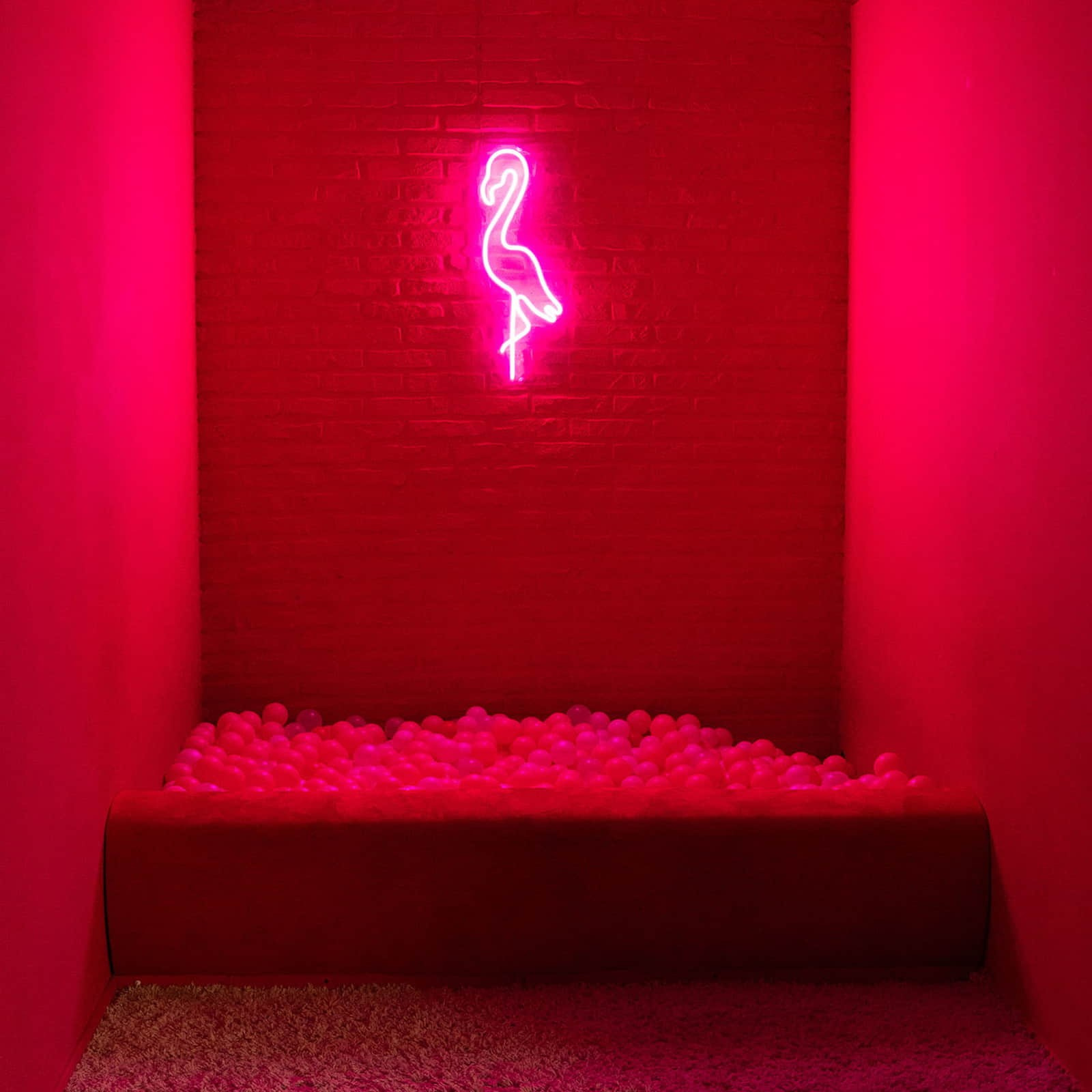 Мероприятия 1.0. Фотостудия СИГМА Красноярск: Фотосессии без фотографа