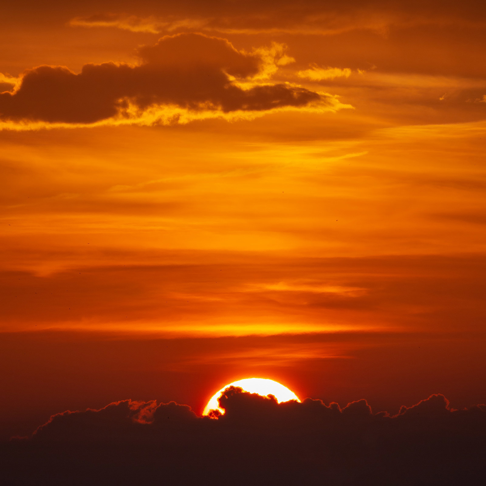 Длинное лунное затмение. Фотограф Евгений Стельмах в Молодечно и Минске