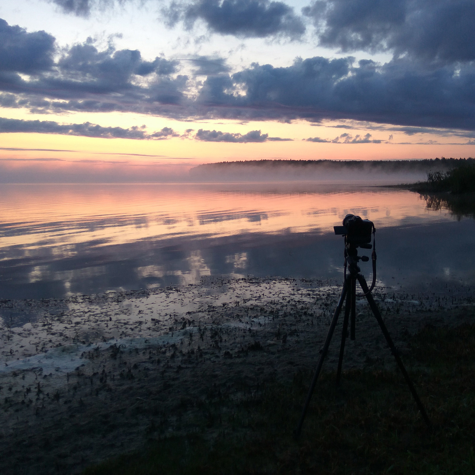Съёмка заката солнца, луны, млечного пути и рассвета 3−4 августа 2019 г. Фотограф Евгений Стельмах в Молодечно и Минске