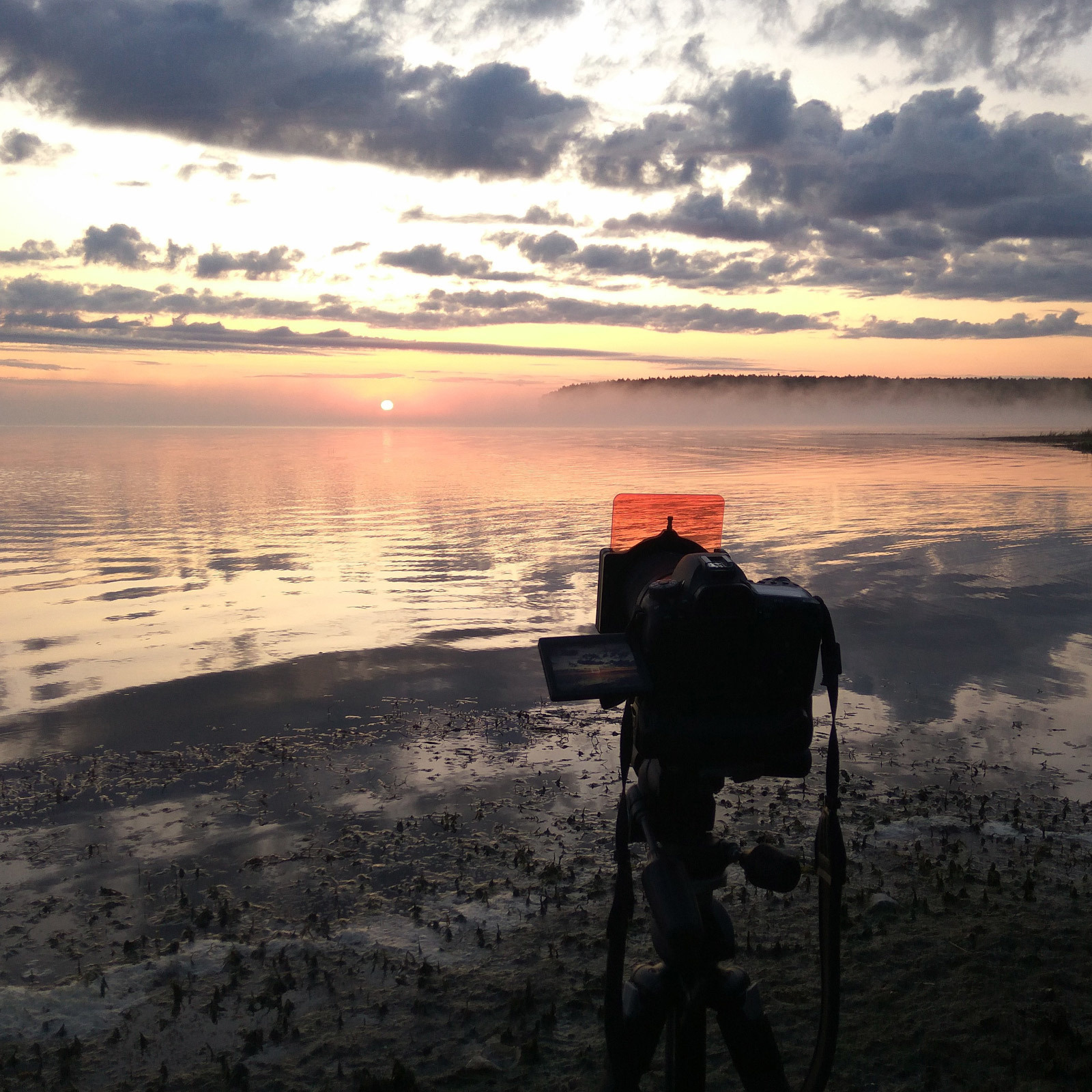 Съёмка заката солнца, луны, млечного пути и рассвета 3−4 августа 2019 г. Фотограф Евгений Стельмах в Молодечно и Минске