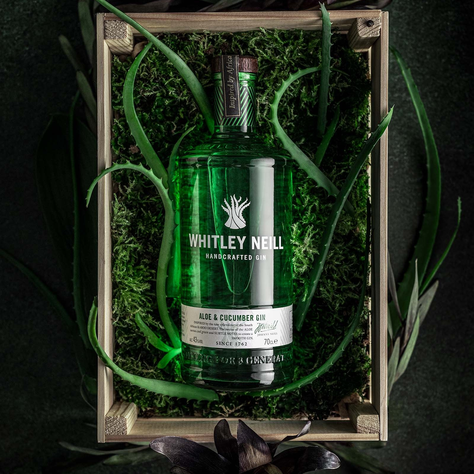 Стоимость съемок. Файн арт и контент фотограф в Москве Александра Роскина