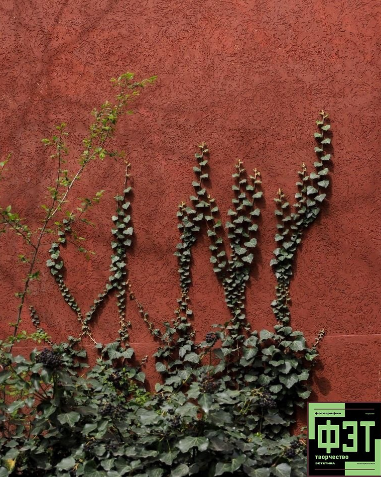 Альбом 29.03.26 в рамках ФЭТ