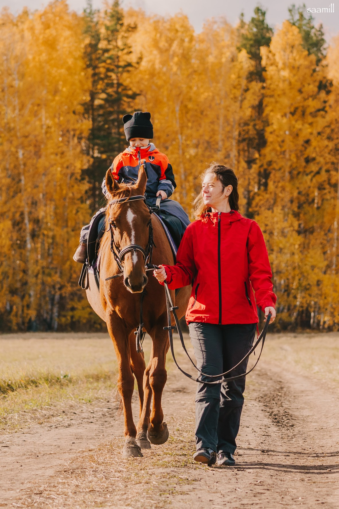 Если твоя мечта — фотосессия с лошадью. Saamill