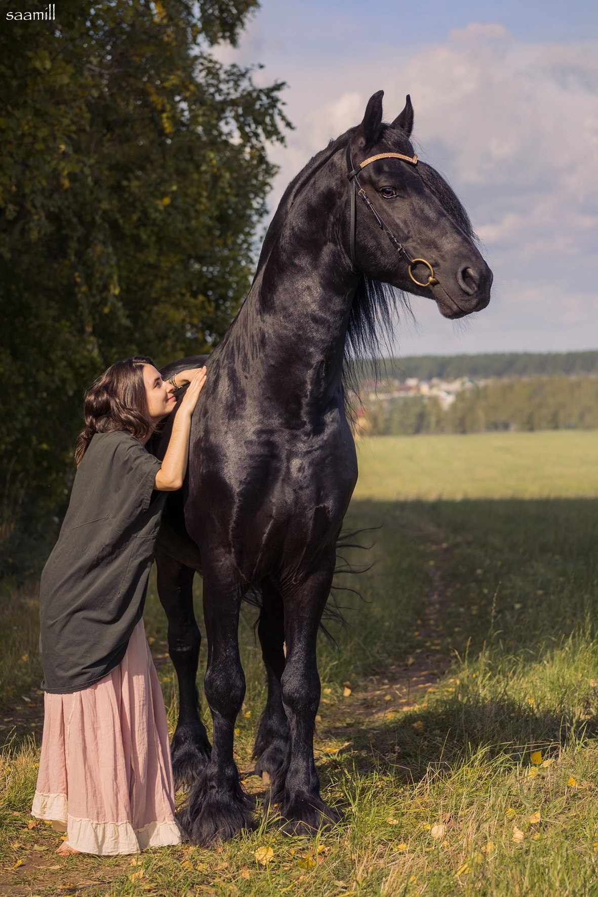 Если твоя мечта — фотосессия с лошадью. Saamill