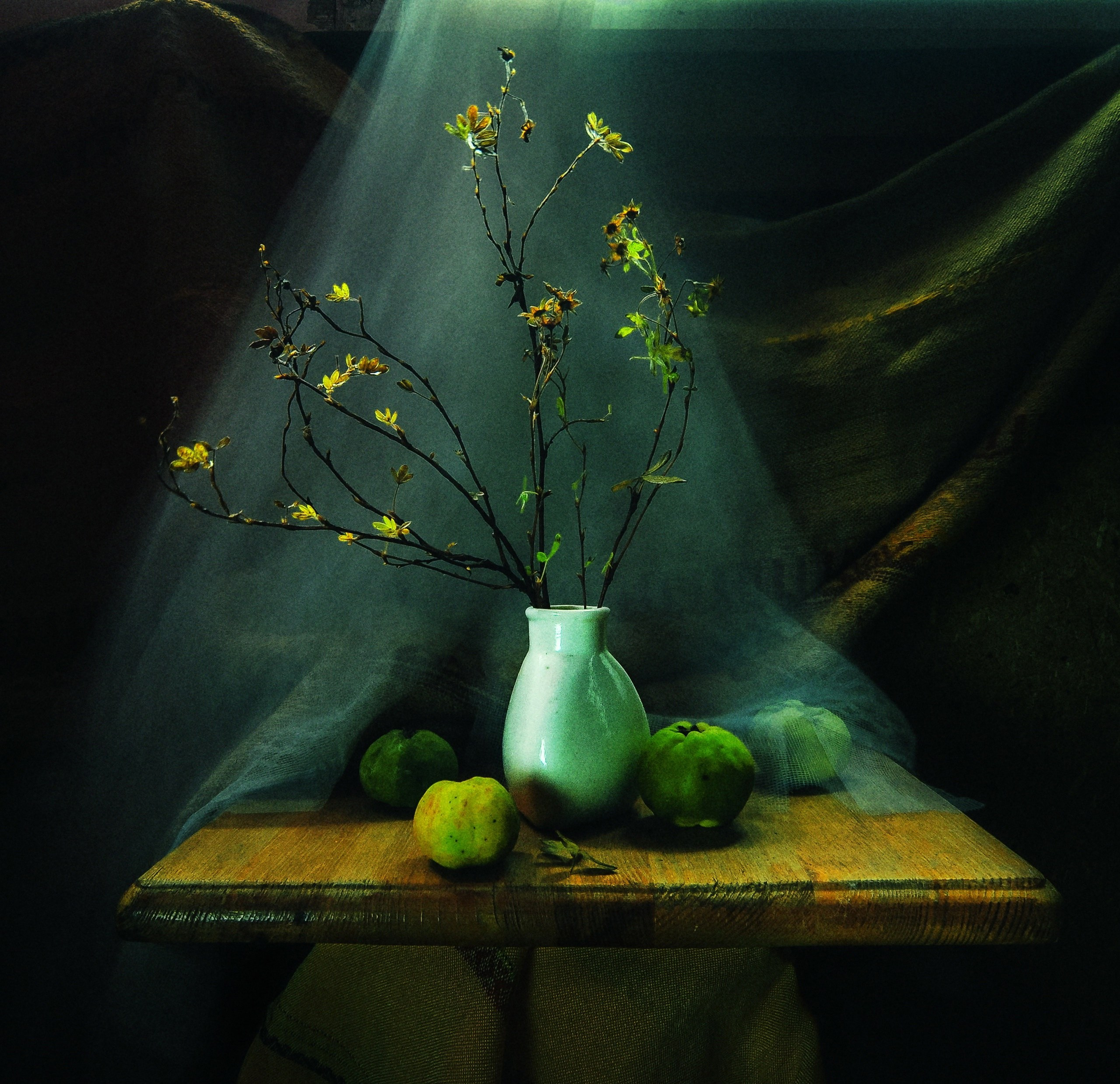 Новости. Музей истории фотографии в Санкт-Петербурге