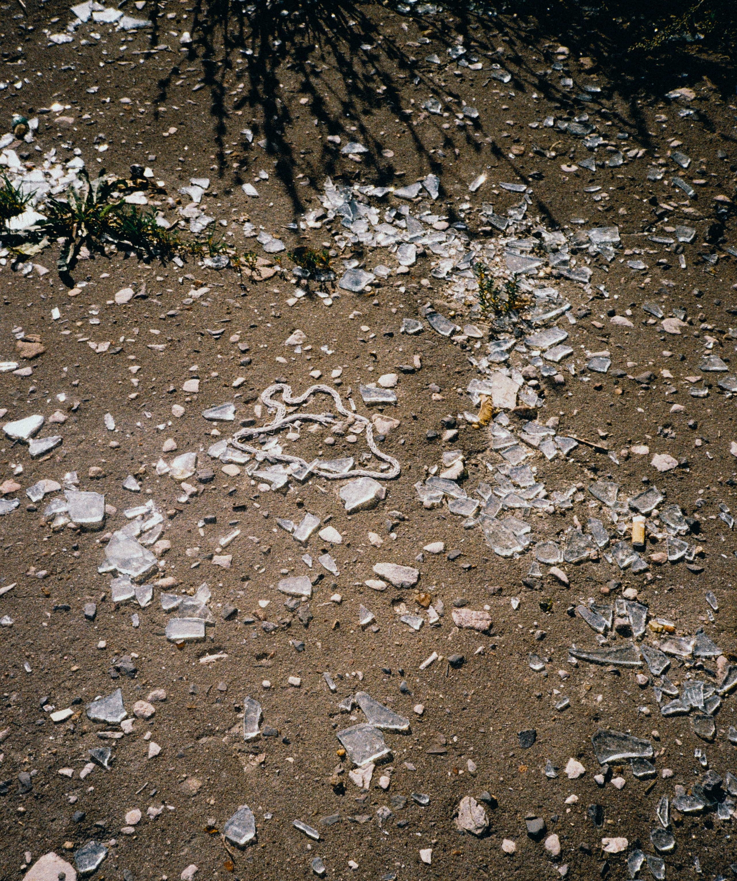 Nik Paustovskiy photography