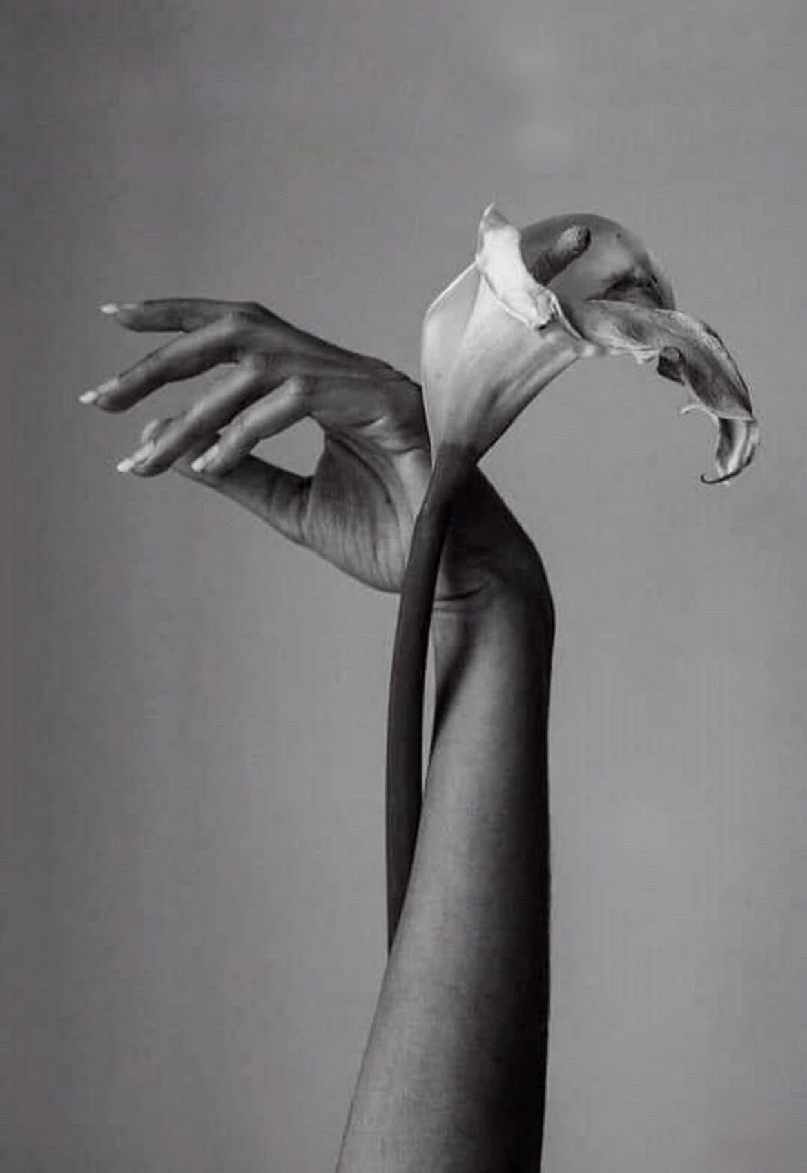 Тот самый режиссер с фотоаппаратом!