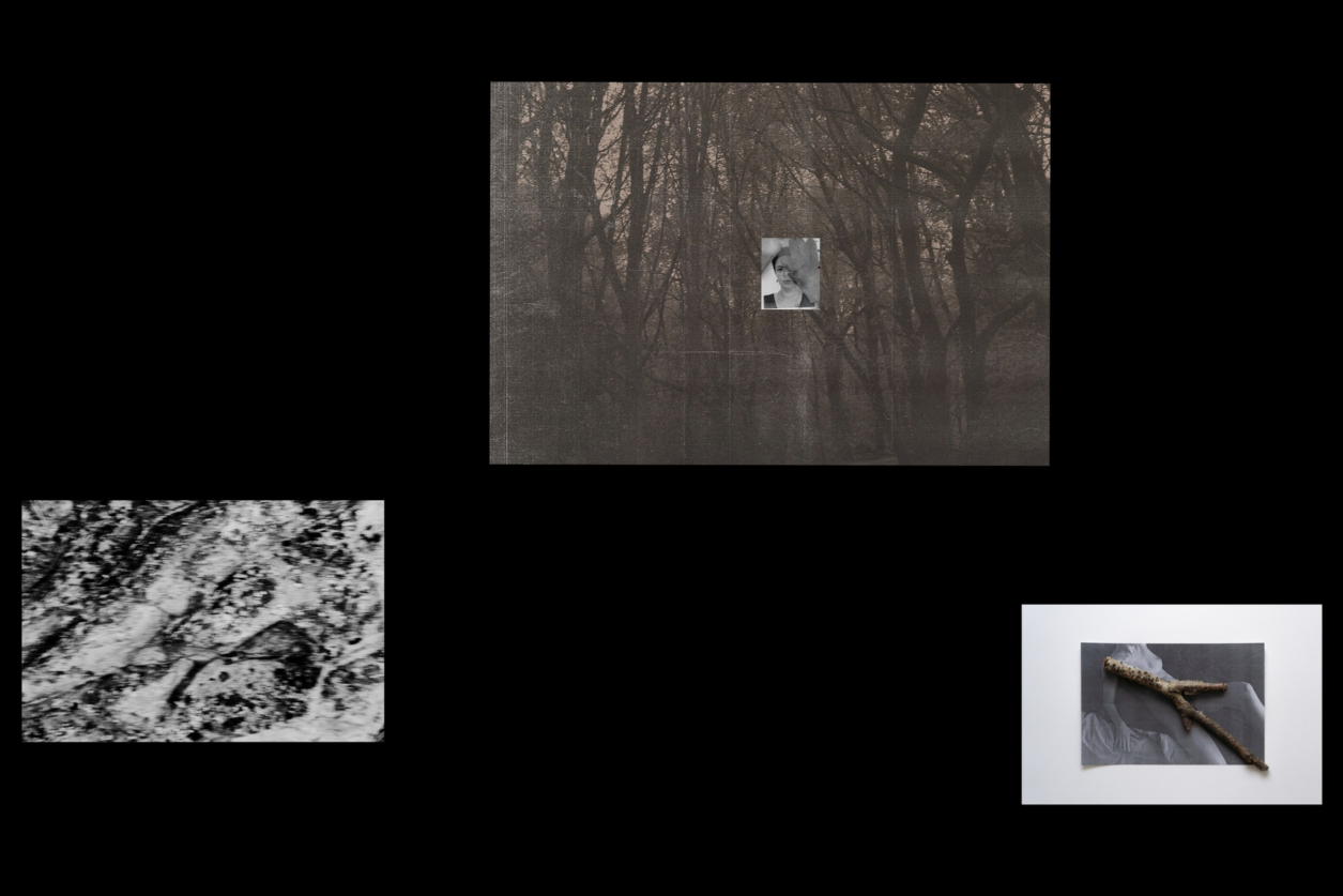 Выставки. Private image