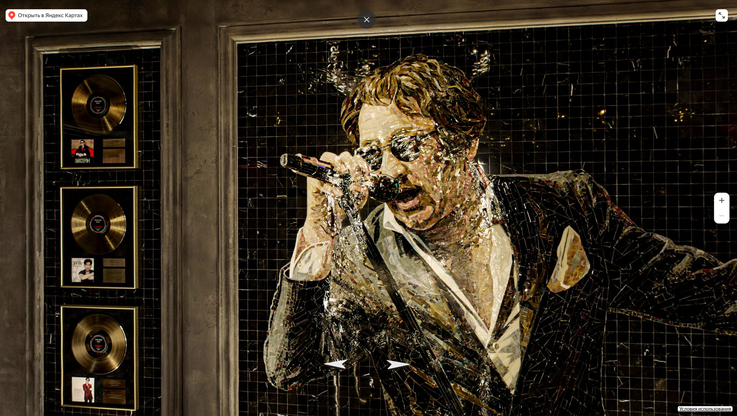 Audi R8 с котиком в Сочи Олимпийская деревня