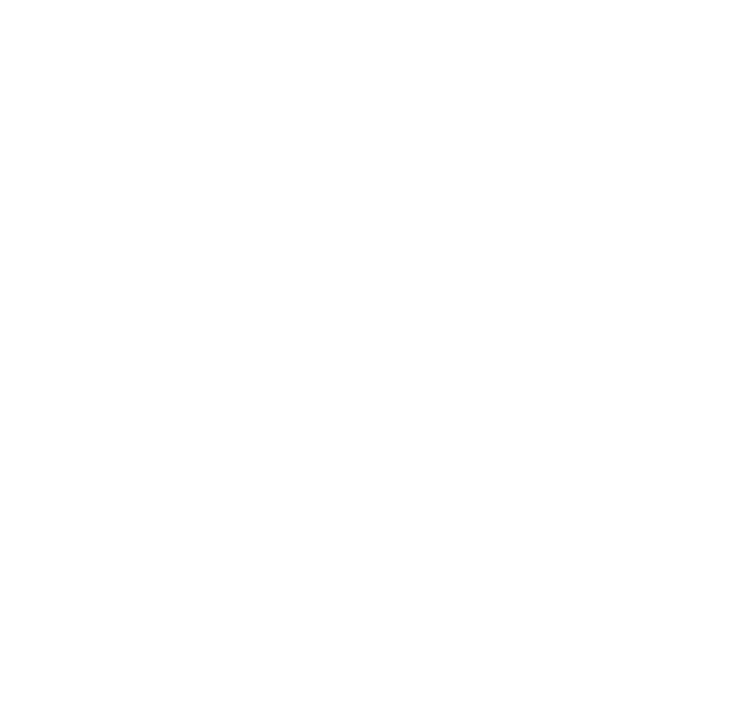 Белый Ветер «Выживут только Художники». Екатерина Дымова. Фотограф. Автор проекта «Белый Ветер»
