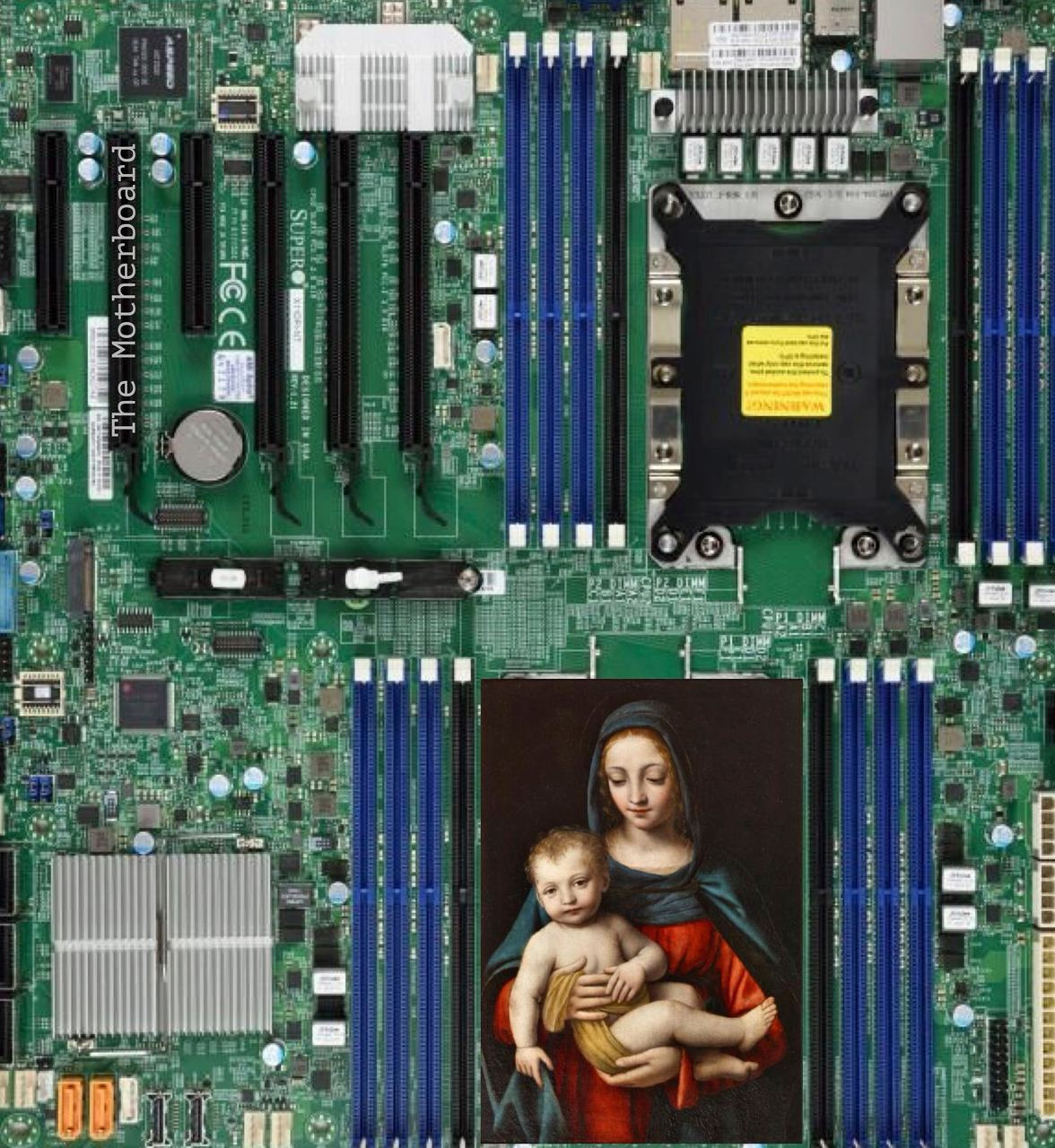 The Motherboard. Mascha Danzis contemporary video and media artist