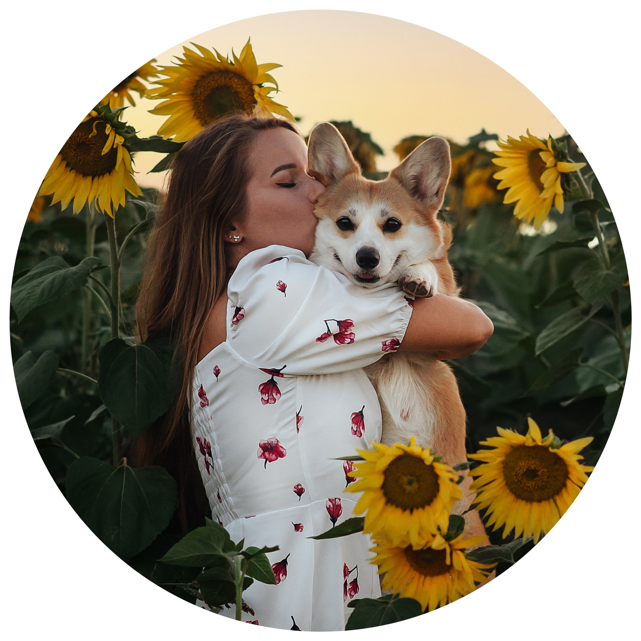 Контакты. Фотограф — Анималист | Анна Абрамова