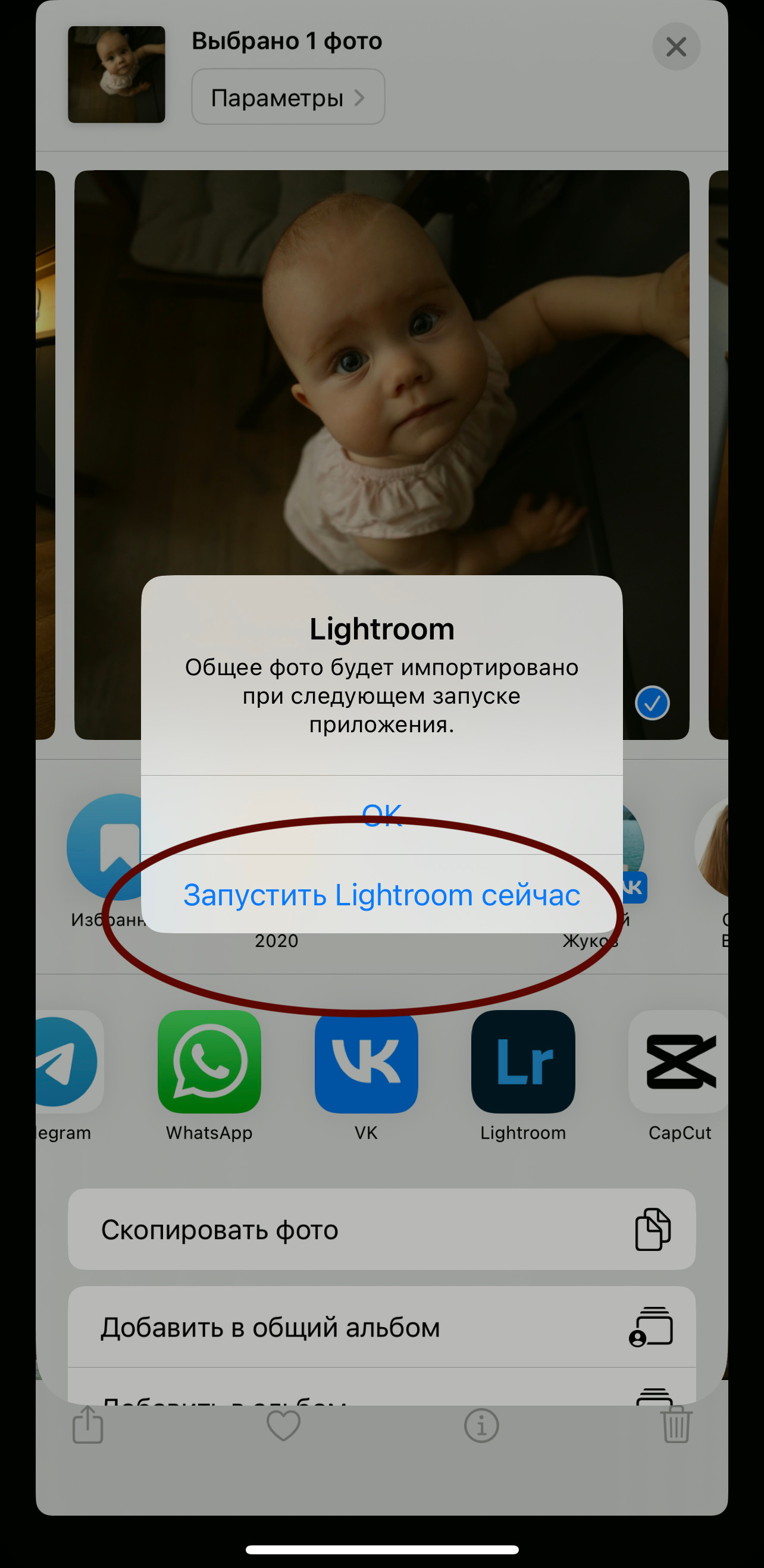 Настройка пресетов Lightroom. Семейный и детский фотограф в Воронеже Настя Жукова