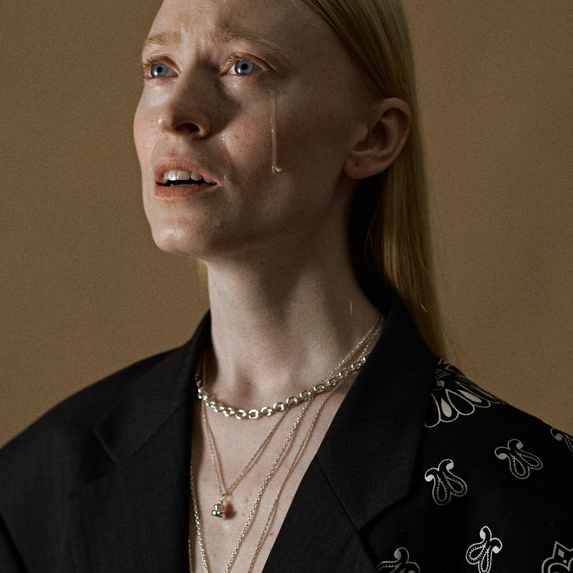 Фото и видео брендам 2 вариант