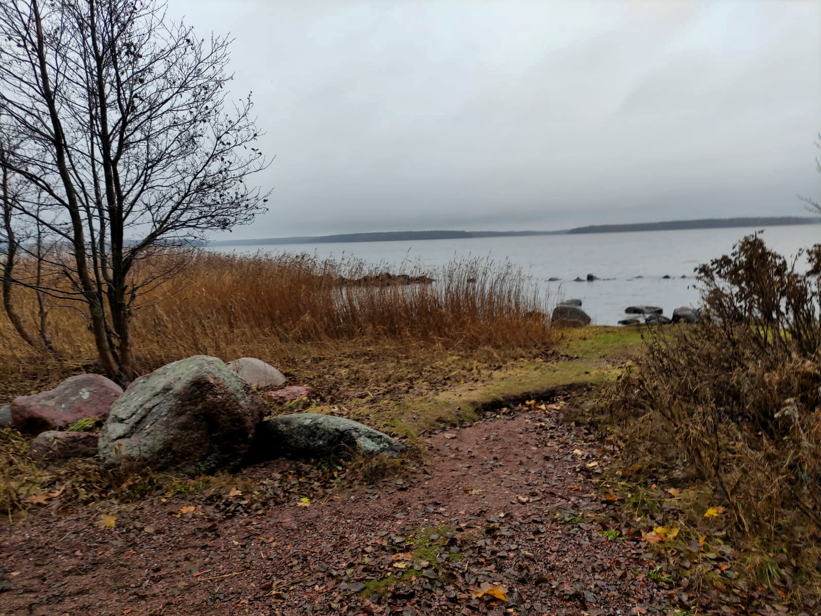 Осенний берег Финского залива