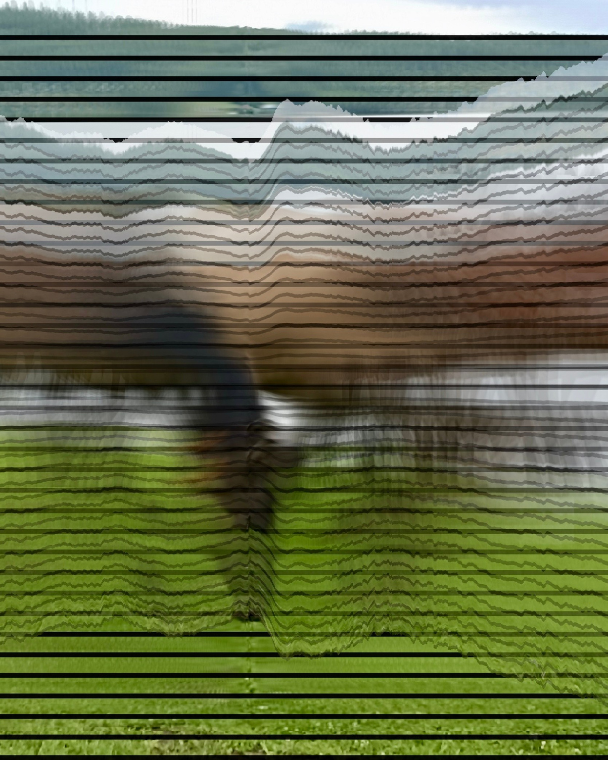 Akbuzat (1). MEMORY in NATURE | digital art gallery