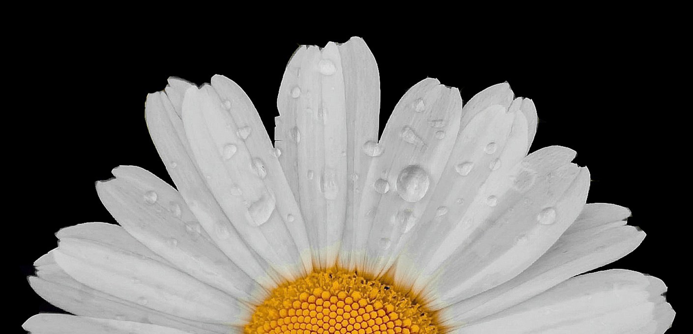 Портретный фотограф Ярославль I Натали Чуб