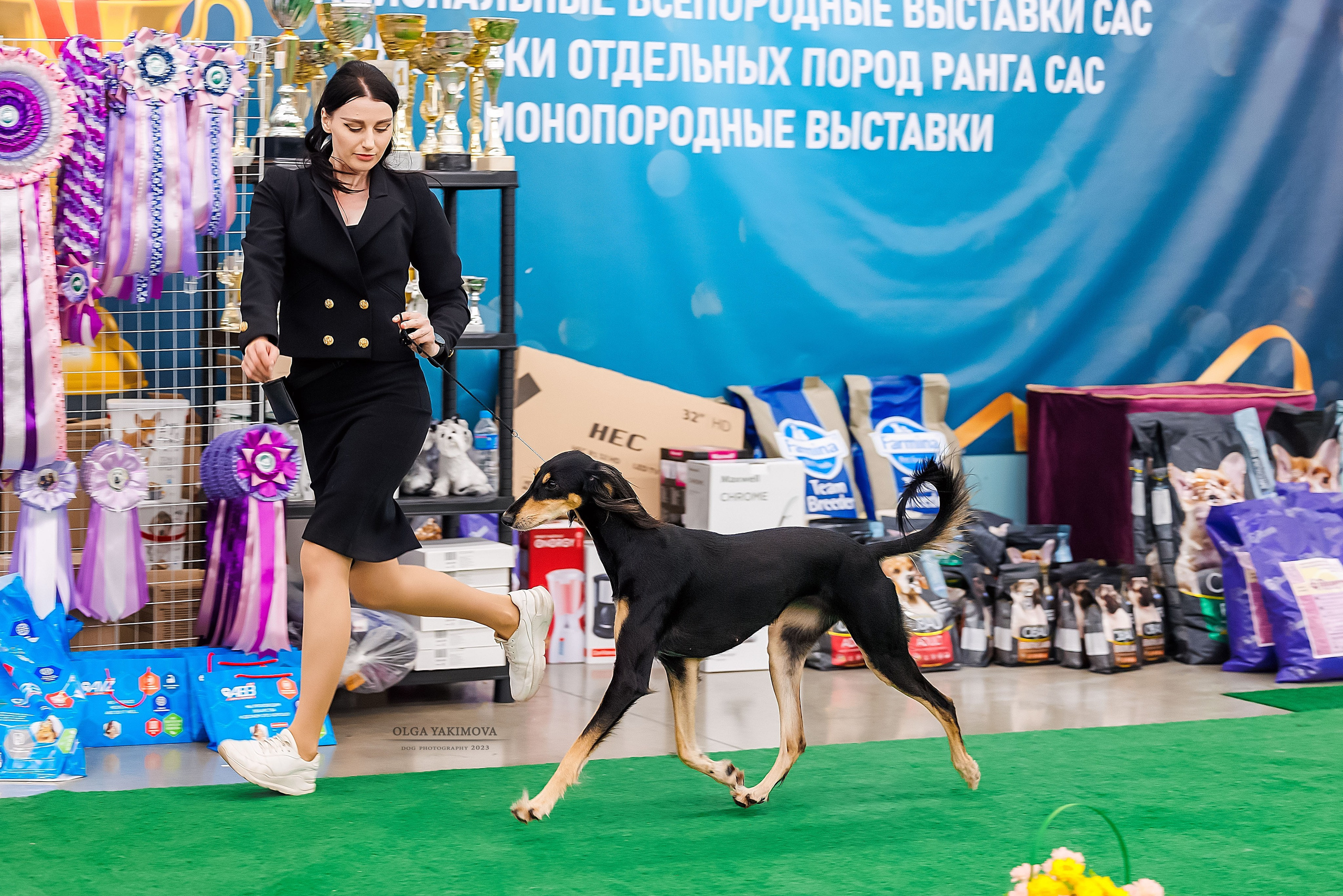 Прайс. Фотограф