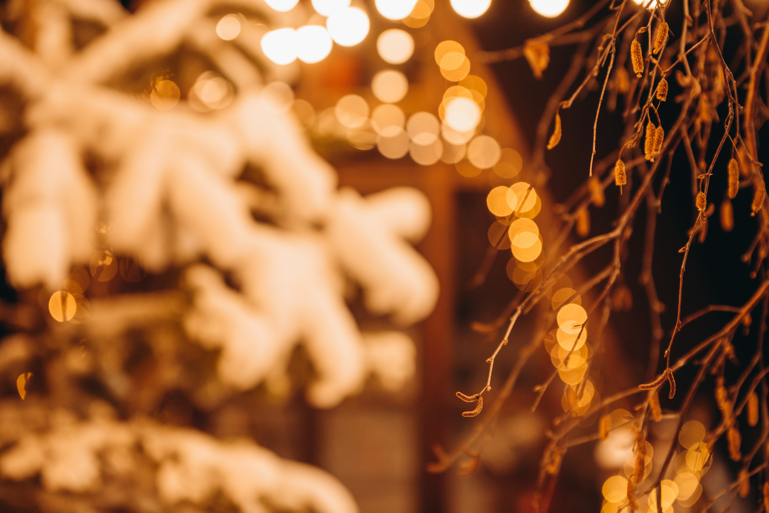 Семейная фотосессия в Иркутске Заснеженные ели новогодняя атмосфера афрейм фотостудия с гирляндами