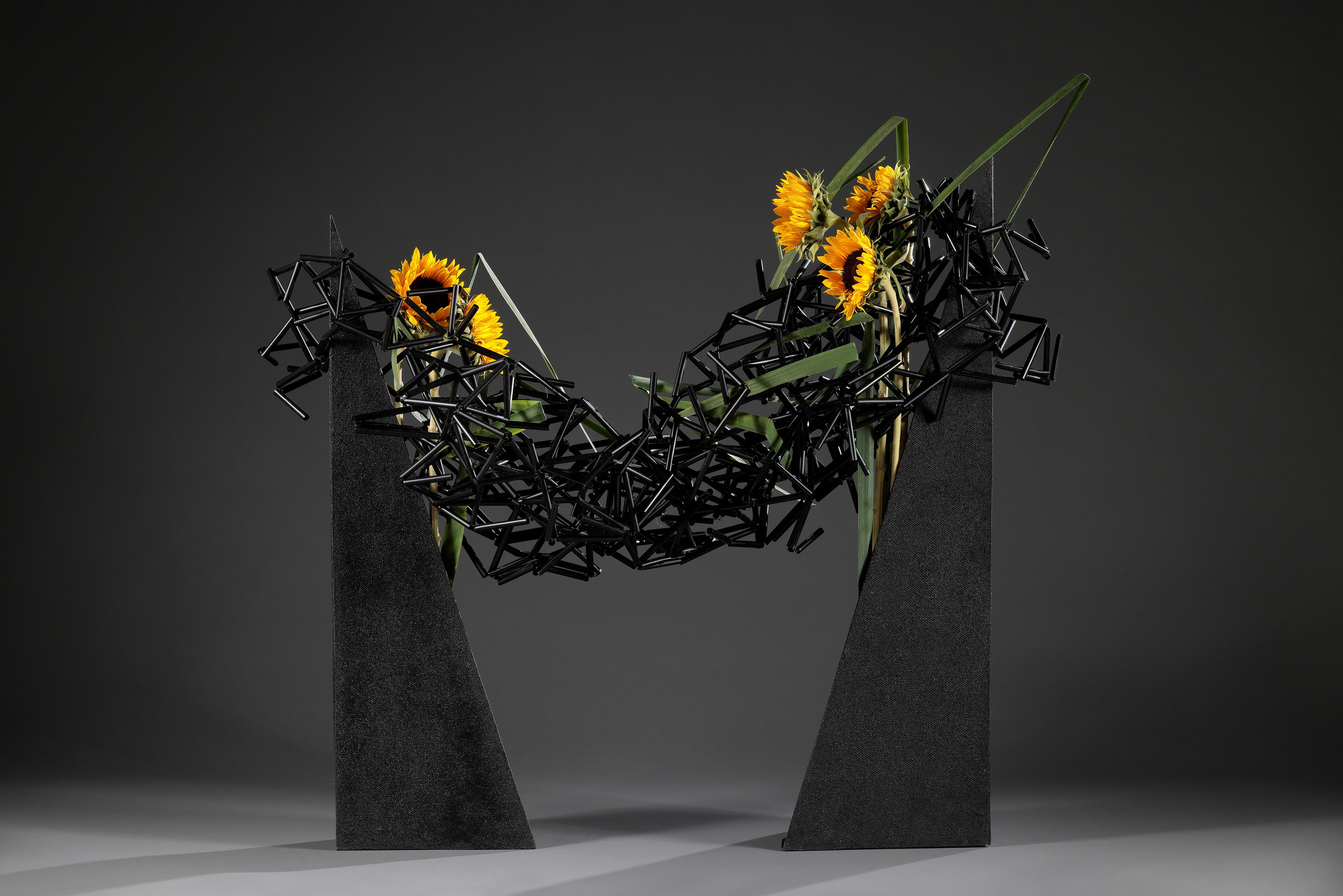 Расценки на коммерческую фотосъёмку. Попов.фото — Предметная фотостудия в Новой Москве