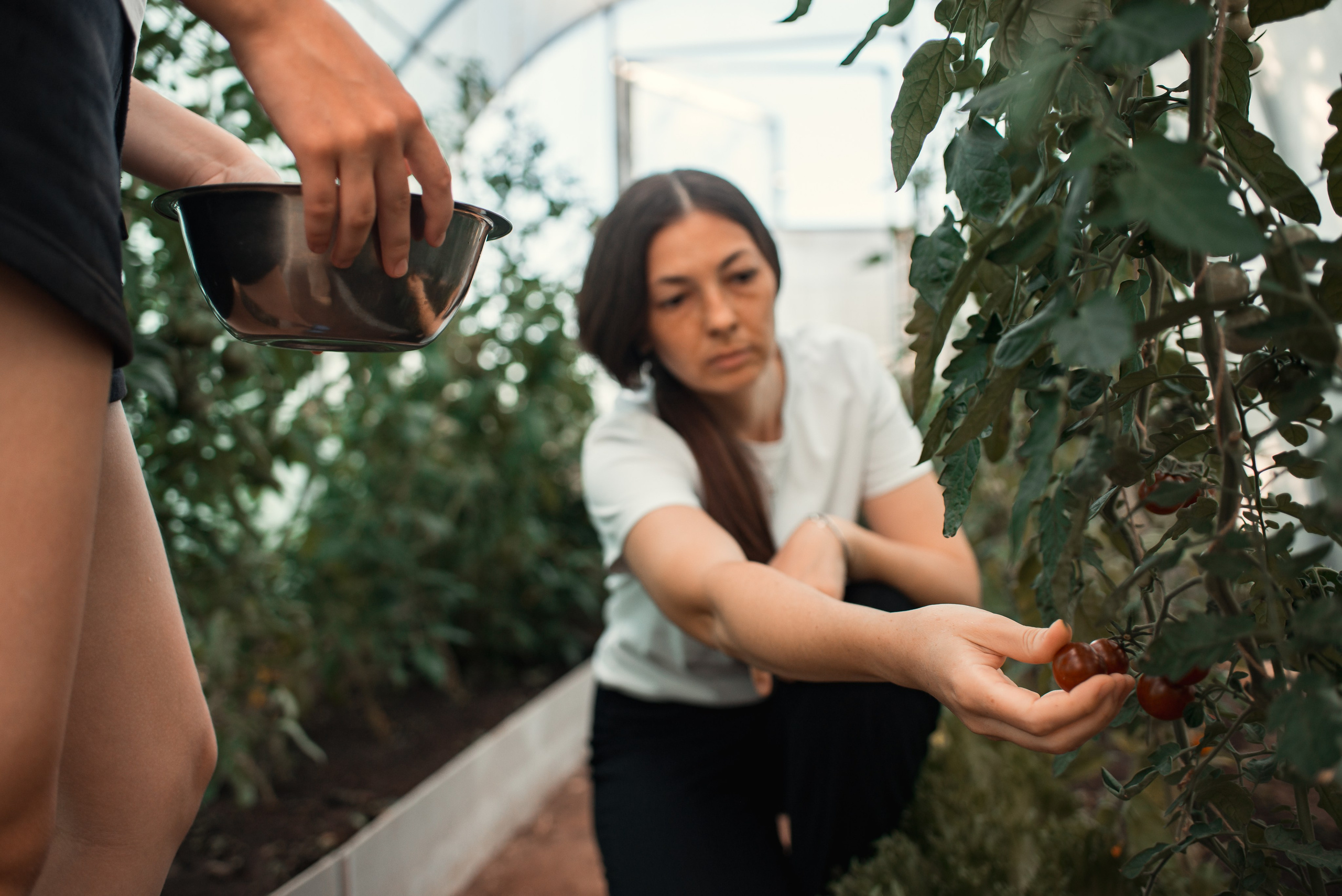 Лина Стёпина. Семейный фотограф Псков. Спб.|Анастасия Войналович