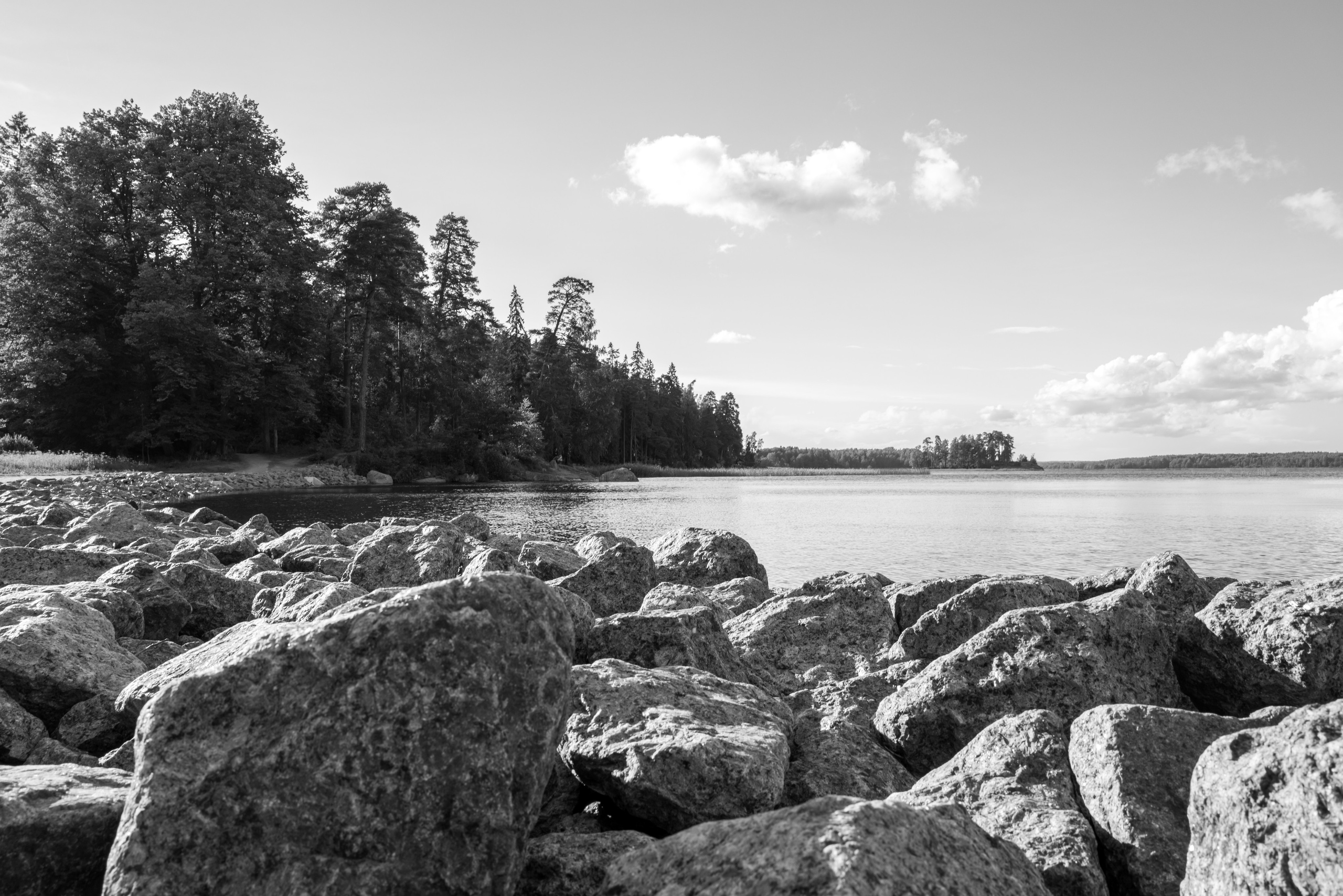 Парк Монрепо