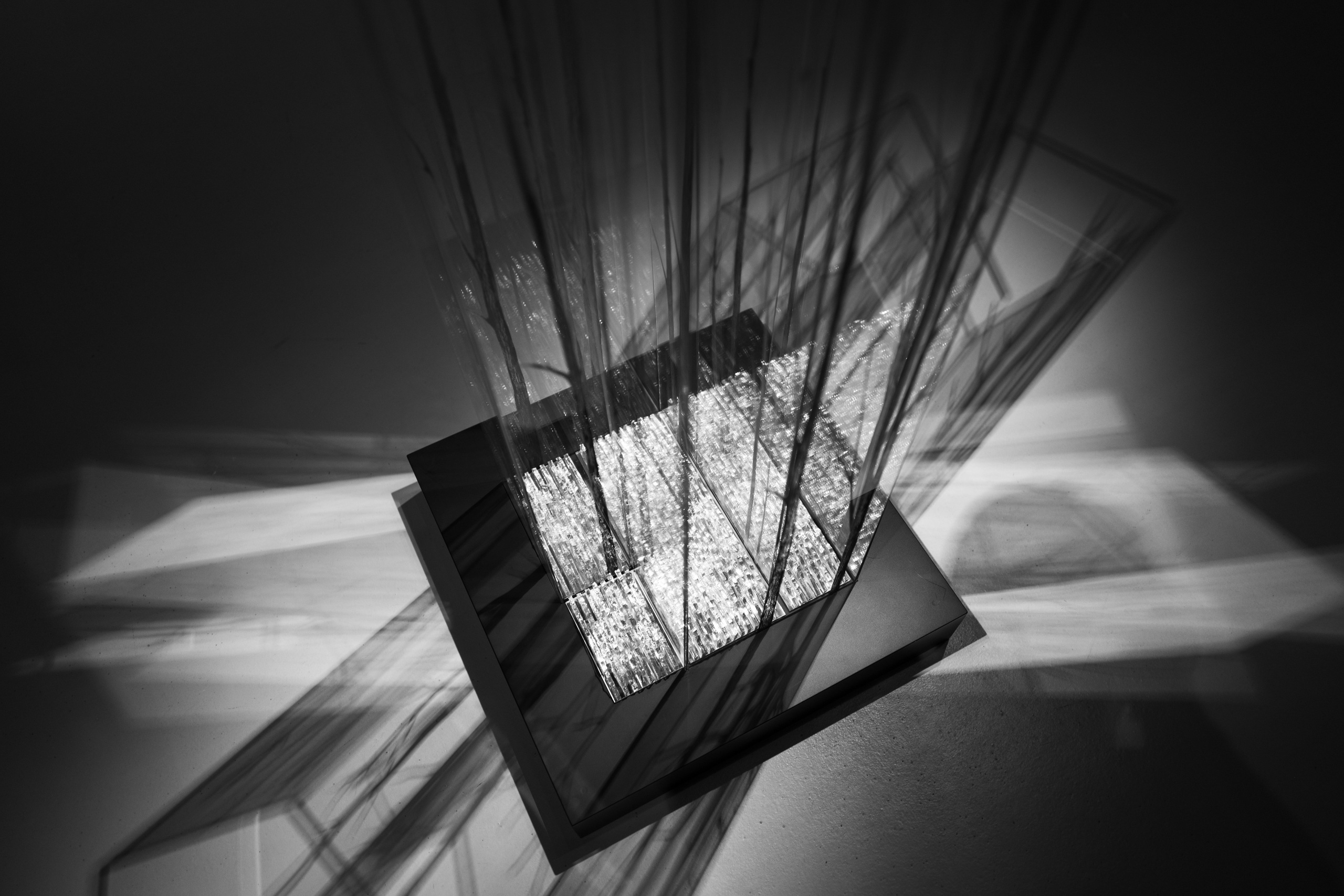 Инсталляция в Паркинг Галерее в Зарядье