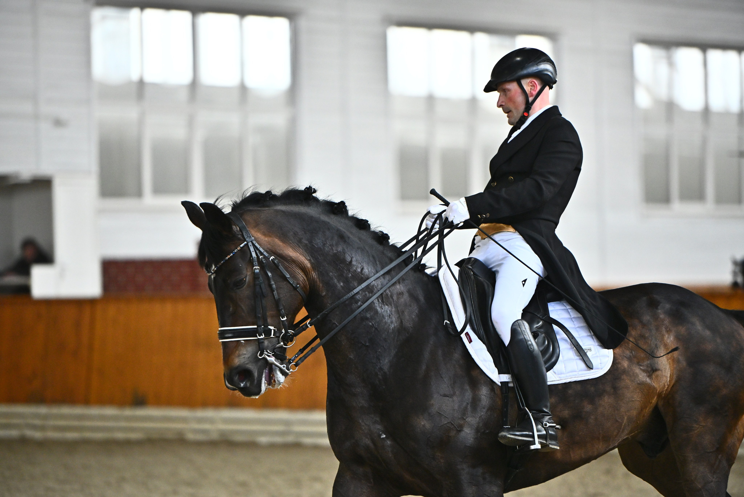 Открытые сор-ния по выездке в КСК Конкорд. ТУРНИРНАЯ КОННАЯ ФОТОГРАФИЯ, Руднева Ольга и Евгений Адеев