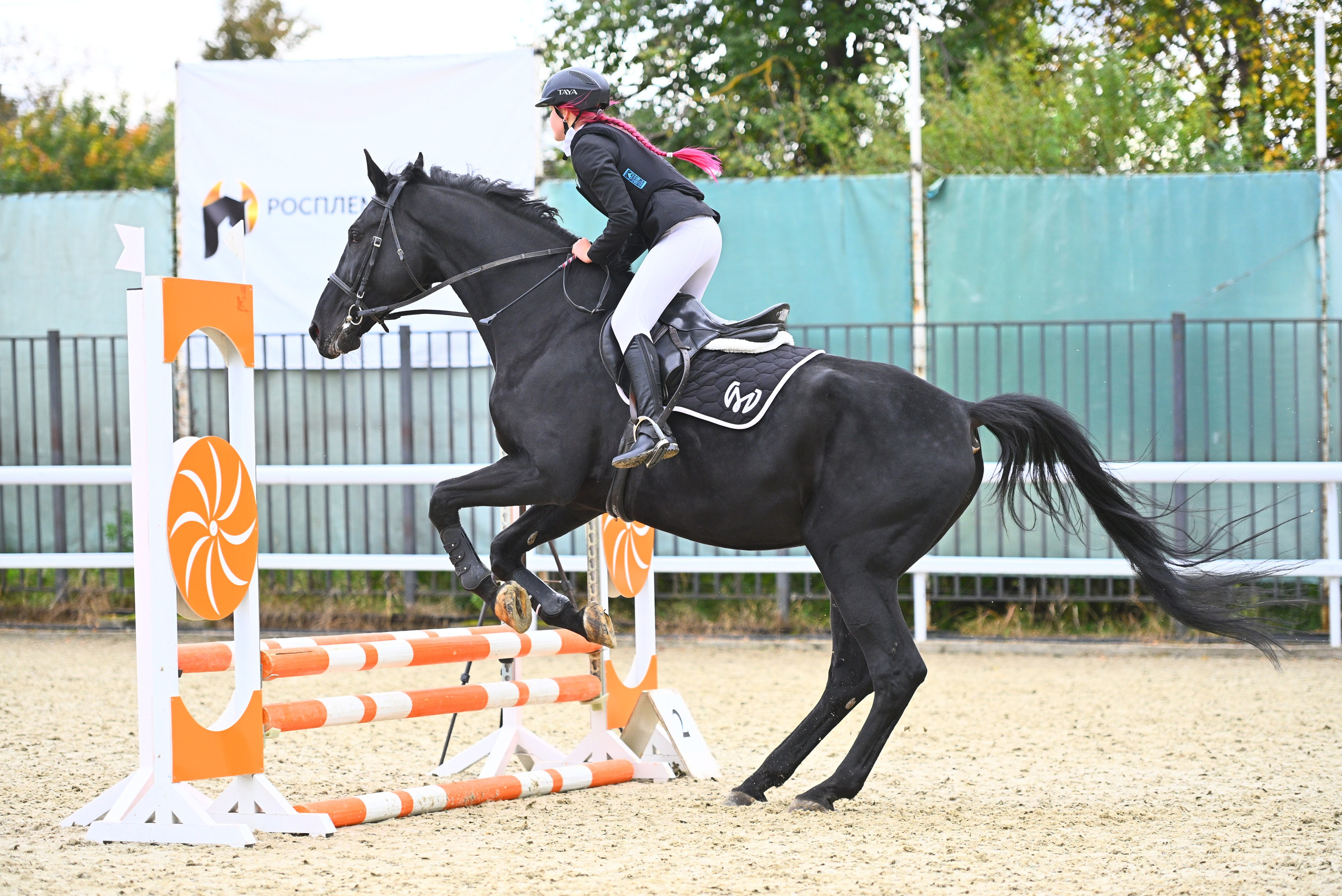 2025.09.27 и 28 — МКЗ№ 1 — Кубок Памяти Н. М. Шурыгина по конкуру и выездки. ТУРНИРНАЯ КОННАЯ ФОТОГРАФИЯ, Руднева Ольга и Евгений Адеев