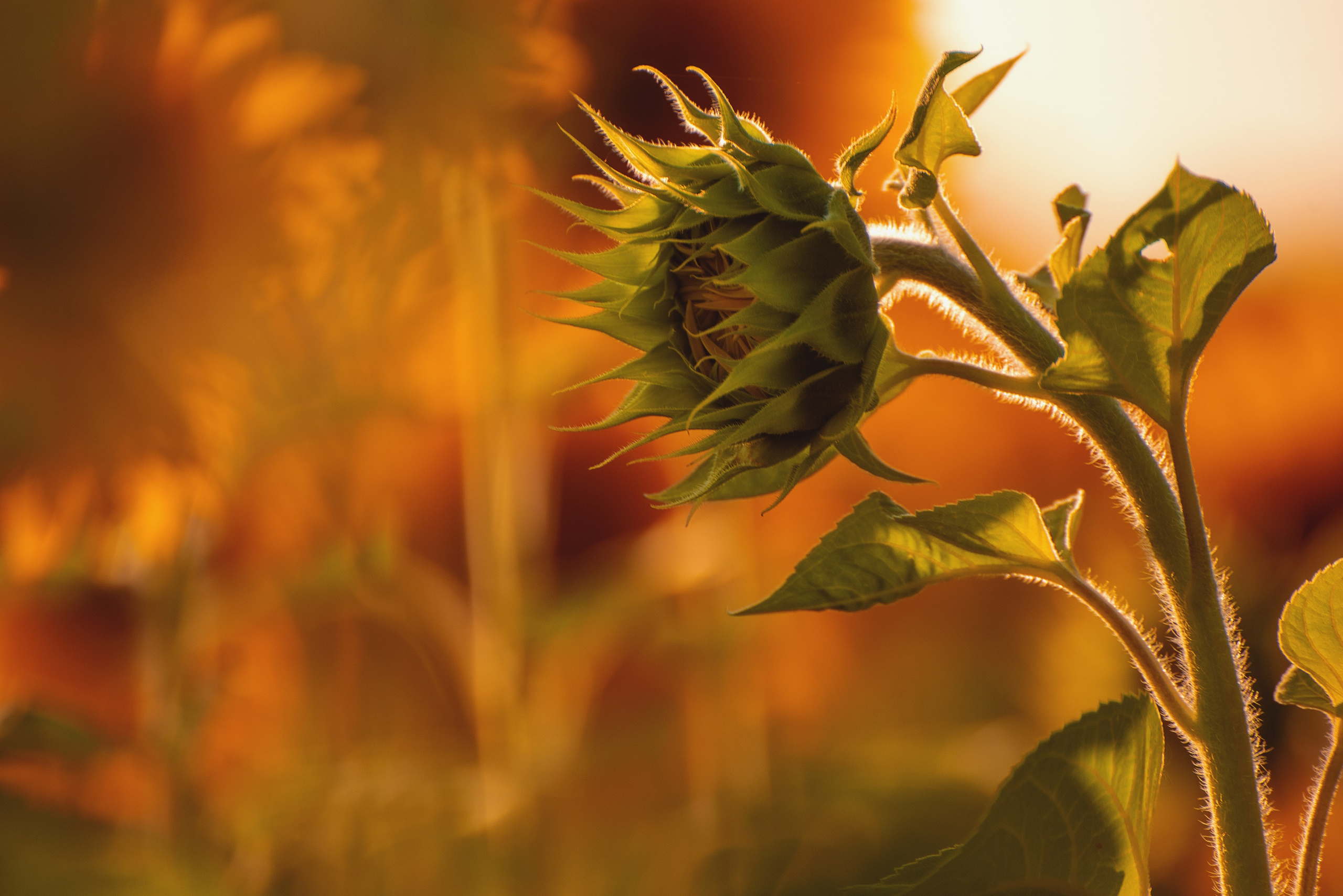 Фотосъемка в детском саду. Фотограф Валерия Азамат — жизнь в каждом кадре