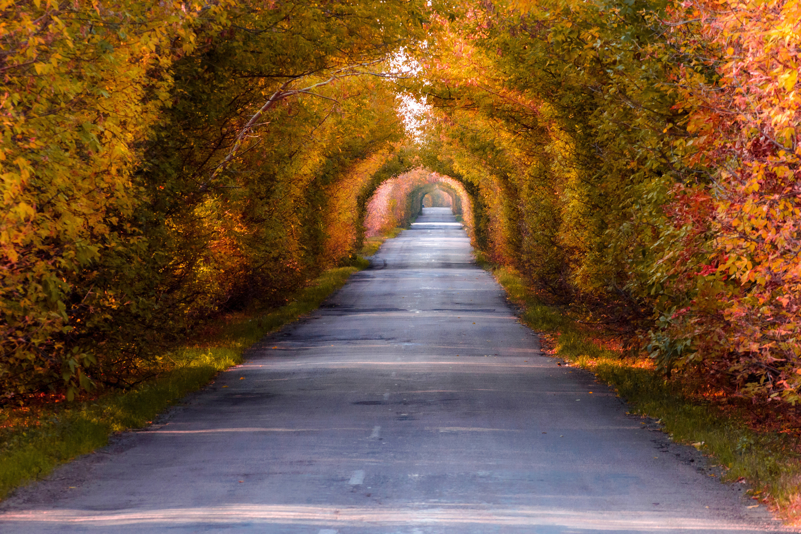 Пейзажное фото Антона Караваева