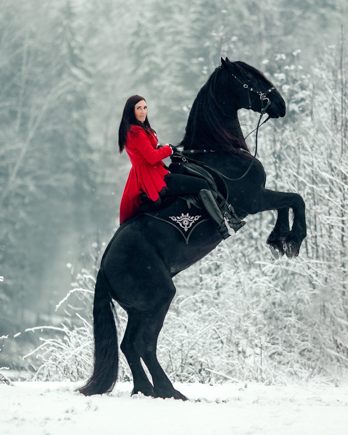 Расписание съёмок. Детский и семейный фотограф с животными в Москве Гурьева Надежда