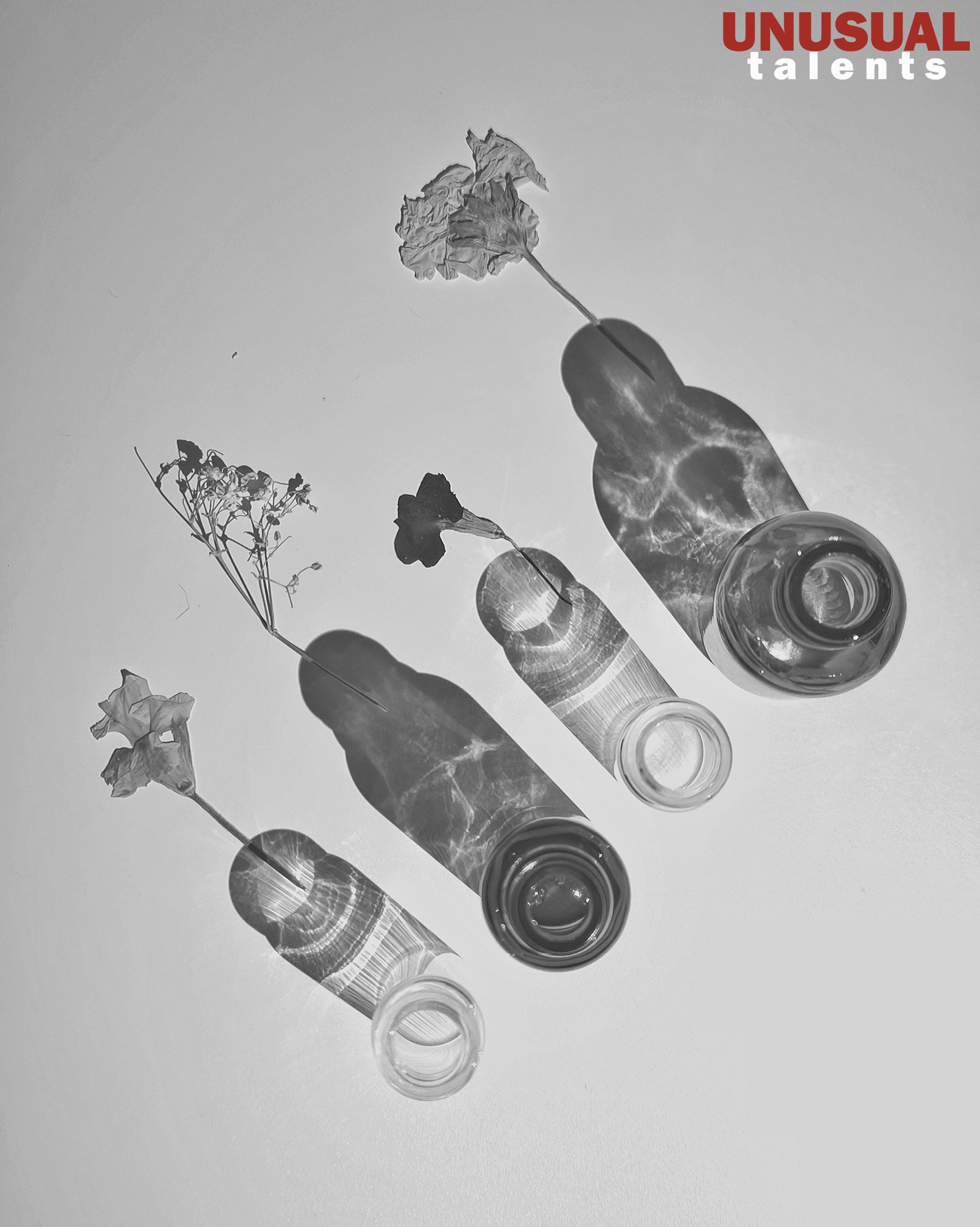 Natalia Coboleva. UNUSUAL TALENT magazine