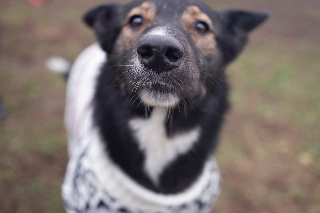 Проекты. Монохромный фотограф