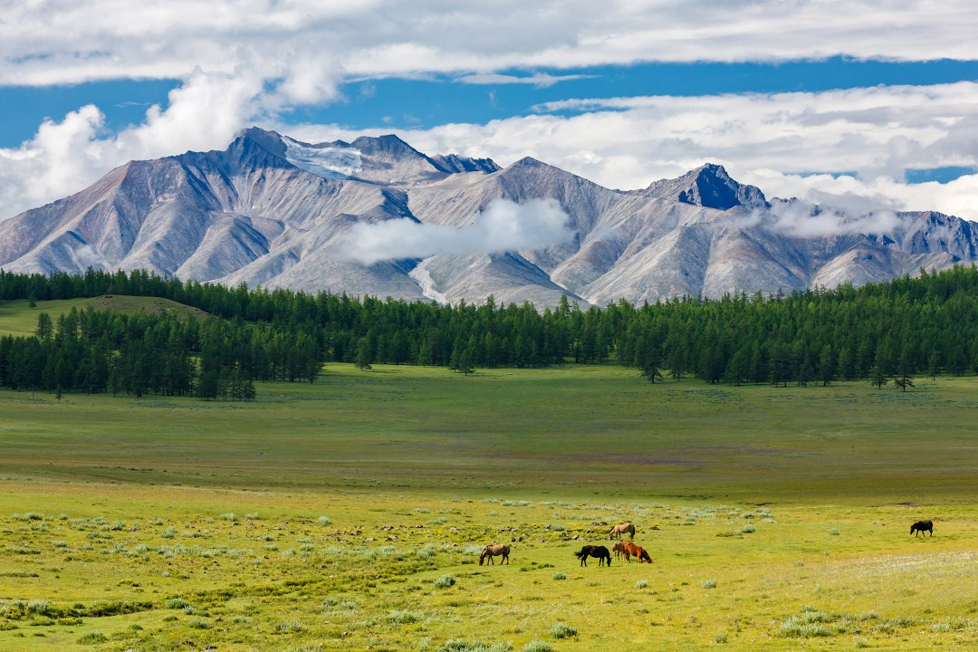 Оз. Хубсугул. Знакомство с Монголией. Илья Буянов, гид по Байкалу, фотограф — baikalsky.com