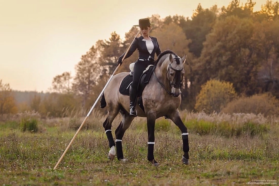 Как стартовать по Рабочей выездке. Liana Antanovich | Equestrian Strategies