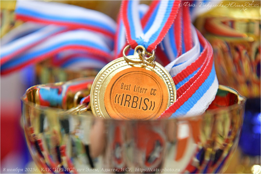 2025. Фотограф анималист | семейный Юлия Вакуленко, г. Краснодар