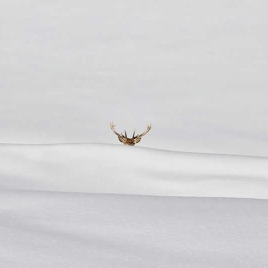 Что сегодня считается минимализмом? Разбираем победителей Minimalist Photography Awards 2026. Фотограф Константин Шамин