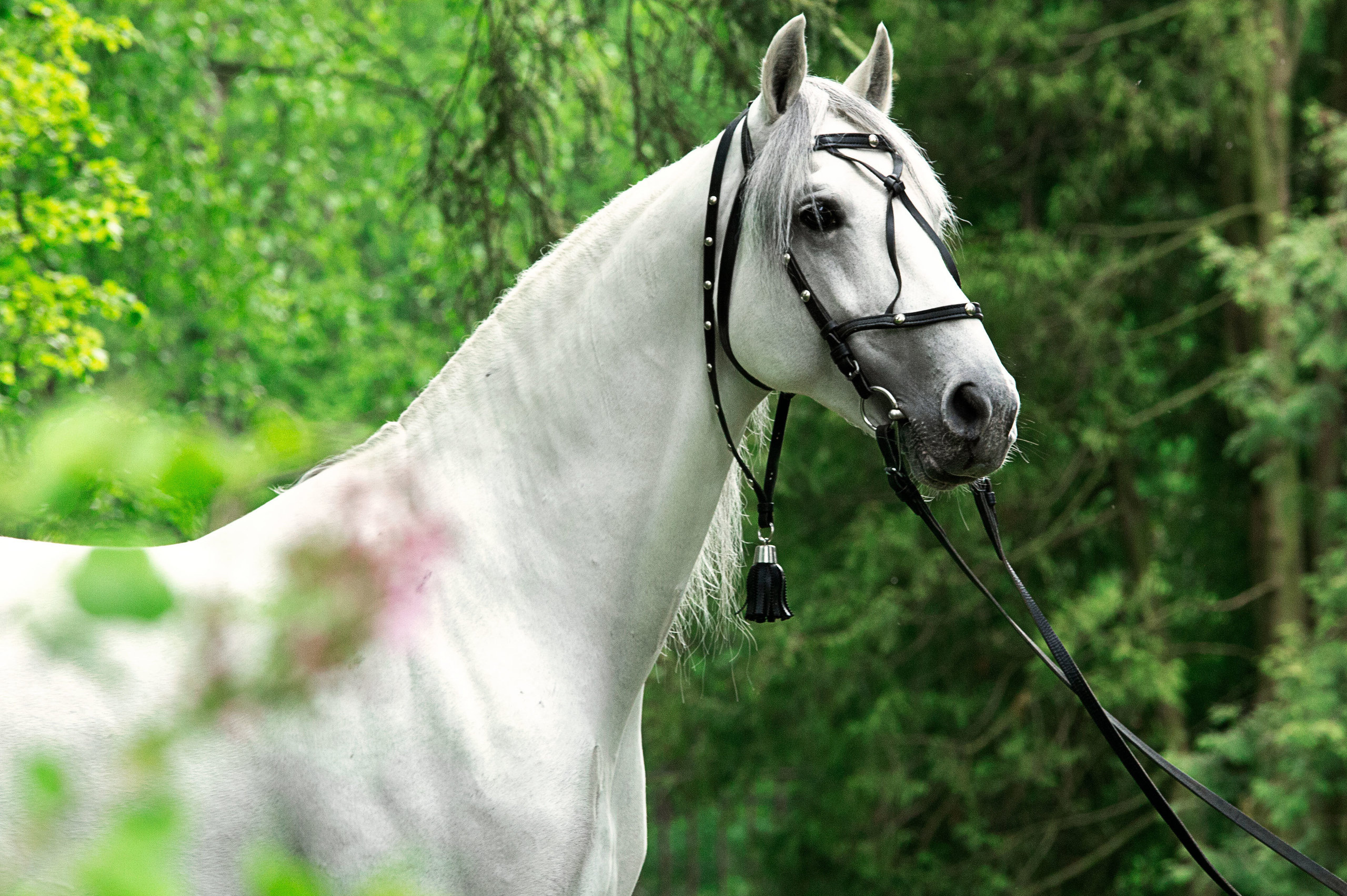 Фотограф в Москве Дудкова Юлия